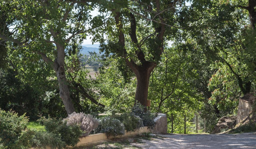 B&B Cantico Delle Creature Assisi Exterior foto
