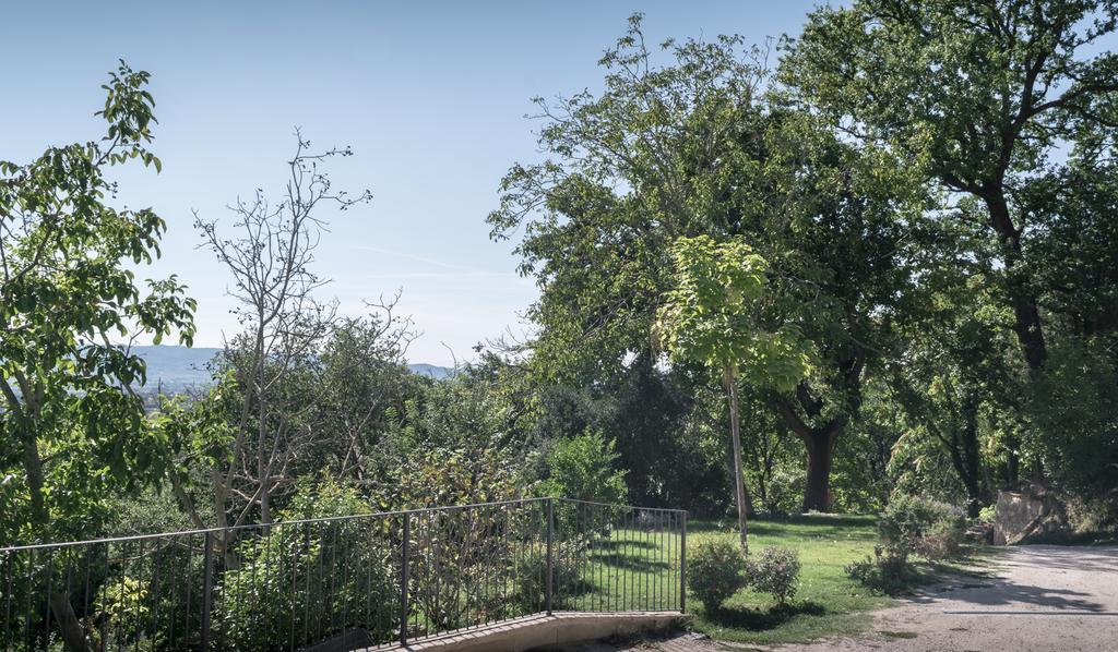 B&B Cantico Delle Creature Assisi Exterior foto